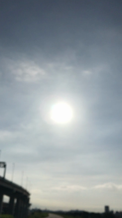 荒川土手から✨の記事動画