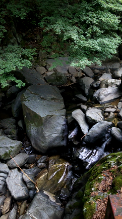 2017/09/04の記事動画