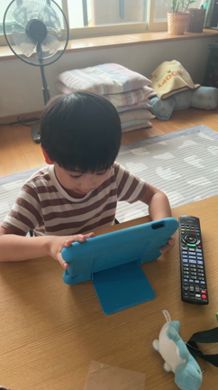 ばぁたん孫に習うの記事動画