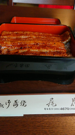 尾花の鰻で癒されに癒されまくった石原まい子の変化の記事動画