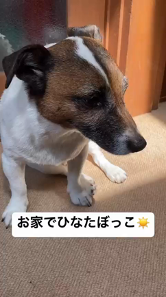 8月14日  日曜日 お盆休みいただきます　☆ 北池袋スナック【山崎】☆の記事動画