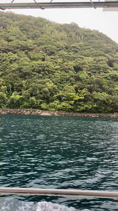 今日は鉄道の日！なので、新しい国鉄型車両のご紹介。の記事動画