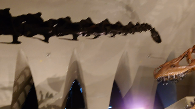 静岡旅行②の記事動画