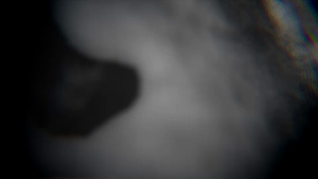 10日のの記事動画