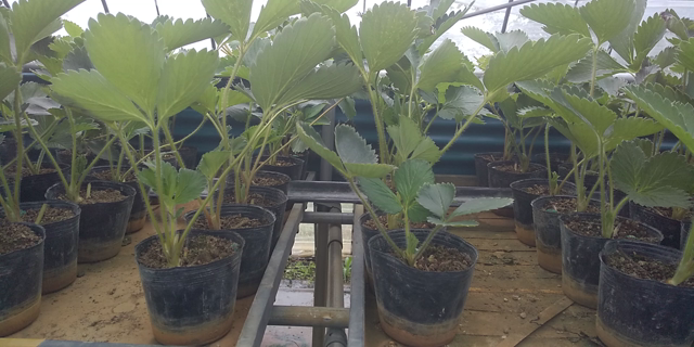 怒涛の数ヶ月でしたの記事動画