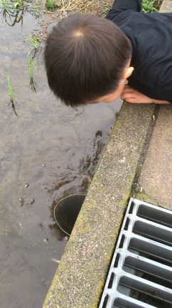雨上がり散歩と楽天購入品の記事動画
