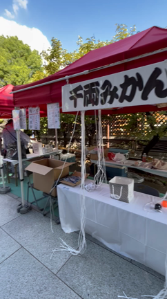 謝楽祭　湯島天満宮にて講談二枚舌屋の記事動画
