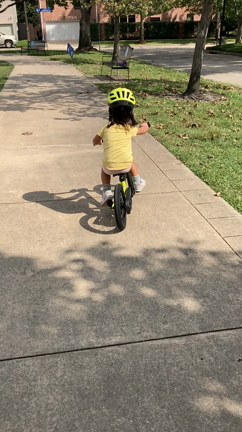 ムスメにお願いされること。の記事動画