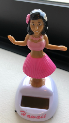 アロハ。の記事動画