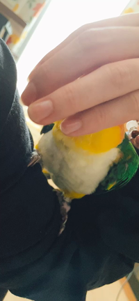 ぬくもりの記事動画