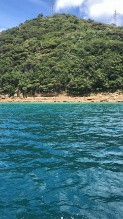 島満喫3日間の記事動画