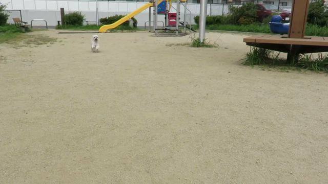 暑中お見舞いの記事動画