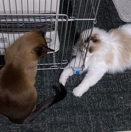 サボり過ぎてm(_ _)mの記事動画