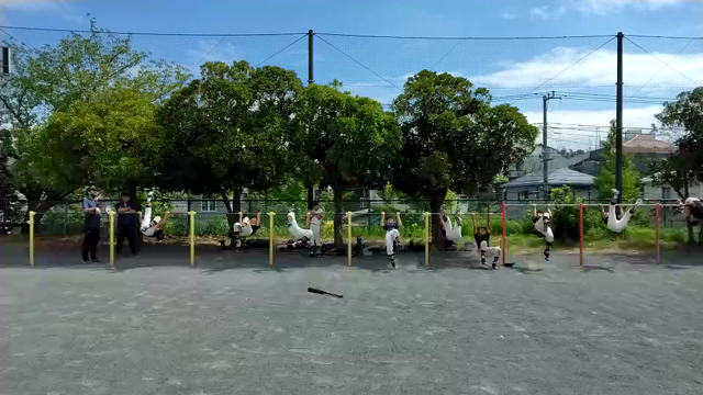 新入部員&練習風景の記事動画