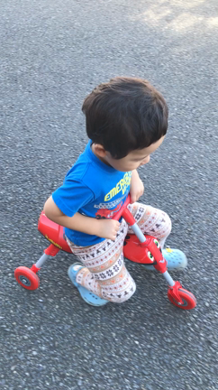 気晴らし①の記事動画