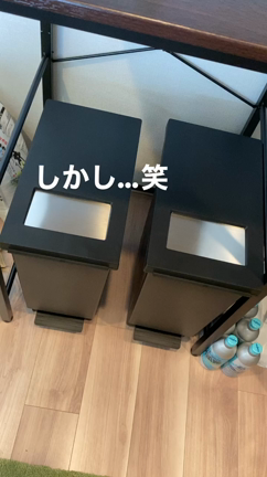 ゴミ箱購入…が、しかし！？の記事動画
