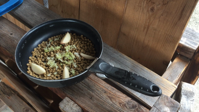 元へ... 柴犬  朝御飯 ！の記事動画