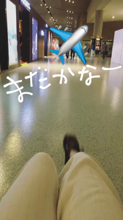 (ノ)･ω･(ヾ)＜行っチャイナの記事動画