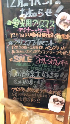 重要重要重要お知らせ(°∀°)の記事動画