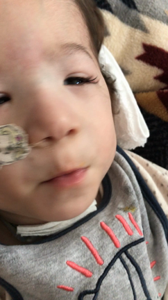 ありがとうございました。の記事動画