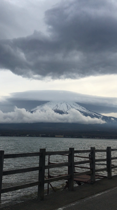 芝桜の記事動画