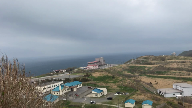 朝獲れたての生ウニ丼の記事動画