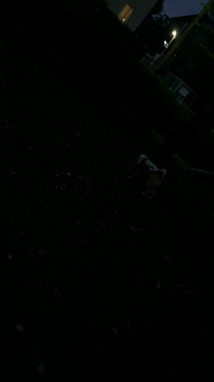 ラブラブ〜茶々と弟〜の記事動画