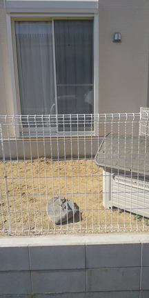 2021/04/19の記事動画