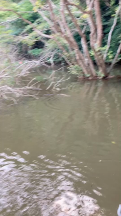 責務を、全うしますの記事動画