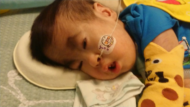 生後1560日目の記事動画