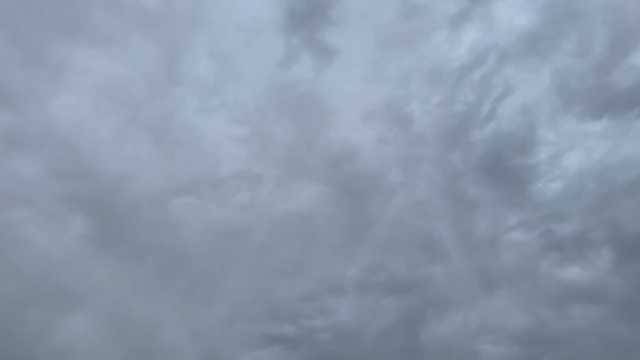 朝の音の記事動画