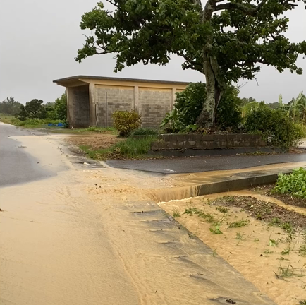 まさかの朝から嵐‼️の記事動画