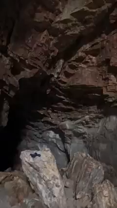 祈りは届くの記事動画