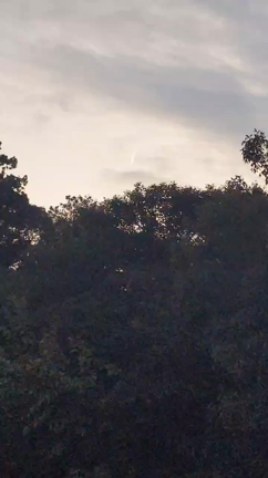 ピアノデュオセミナー＆コンサートの記事動画