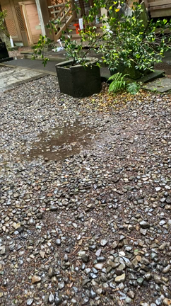 キラキラパワーの波動の記事動画