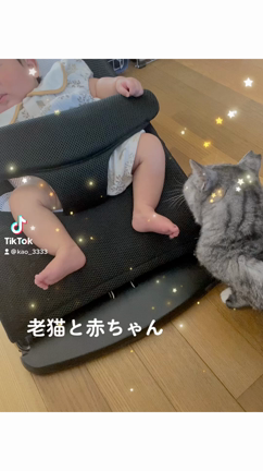 シニア可愛い笑の記事動画