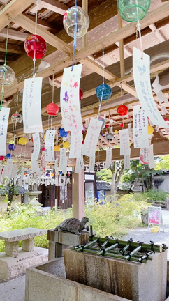 親戚のおじちゃんのような【松尾大社の神様】♡の記事動画