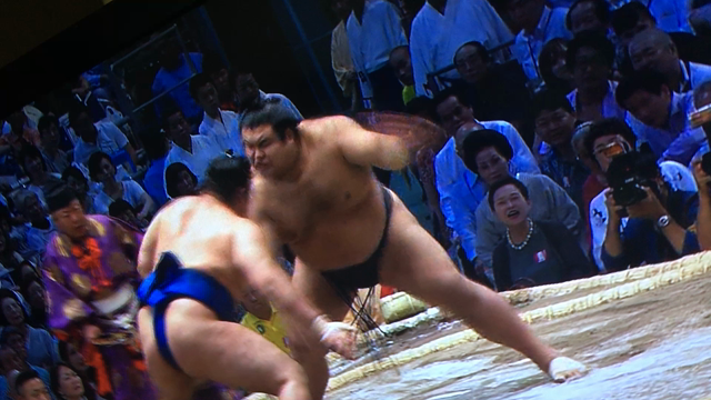 ニューフェイス♡Nagisa ＆ Siho ＆ Ayaka♡相撲みましたか？？(笑)の記事動画