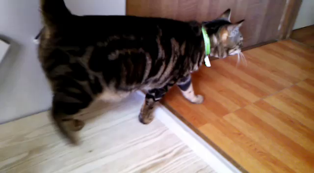 思い出の記事動画