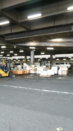 築地市場の記事動画