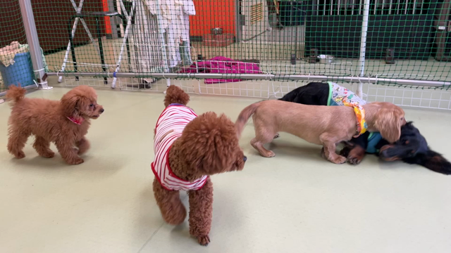 4月20日(水)︎*⋆✈の記事動画