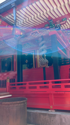 なんか目が合う？光ってる、睨まれてる？の記事動画