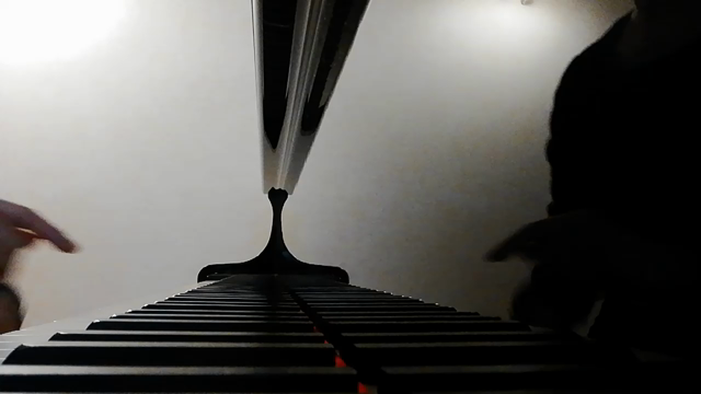 生徒さんとのアンサンブル②の記事動画