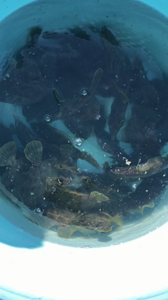 2023/10/24の記事動画