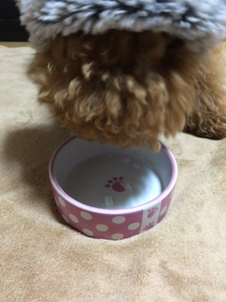 はじめての幼稚園☆甘噛み編☆の記事動画