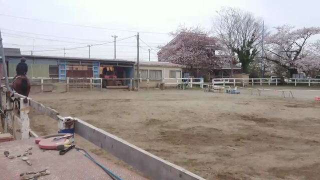 珍プレーの記事動画