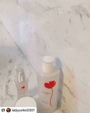 【お得なバレンタイン企画】はじめての方への記事動画