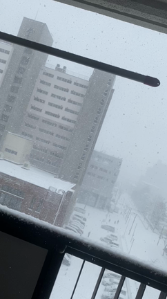 ★10話 系列店★の記事動画