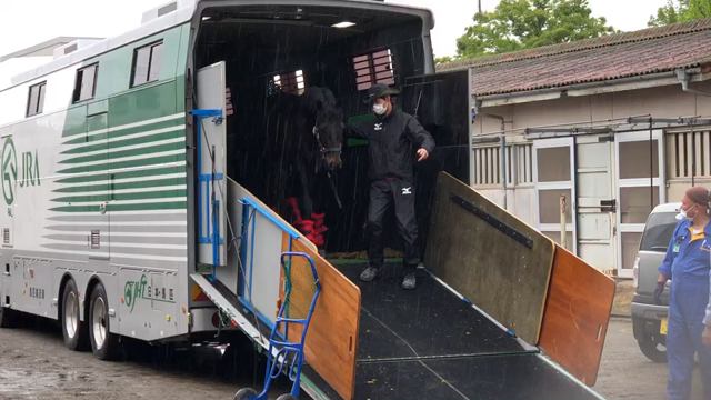 ブリーズアップセール購入馬 入厩しましたの記事動画