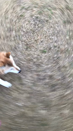 週末は九州への記事動画